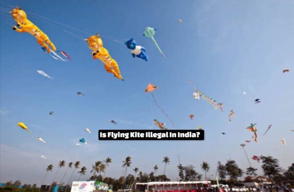 Is Flying Kite Illegal In India